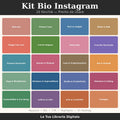 Kit Bio Instagram singoli — 20 nicchie